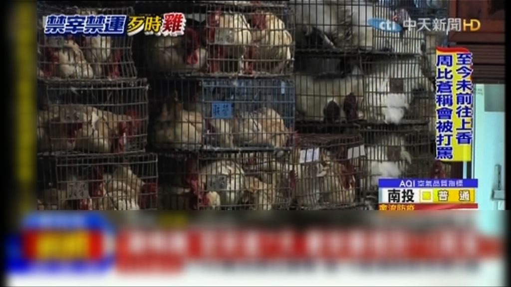 台憂禽流感　禁宰禁運家禽七天歷來最長時間