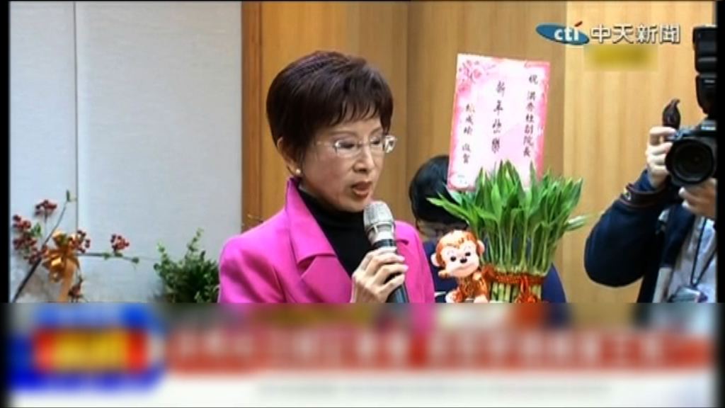 洪秀柱宣布參選國民黨主席
