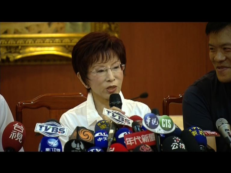 洪秀柱自比岳飛被冠「莫須有」罪名