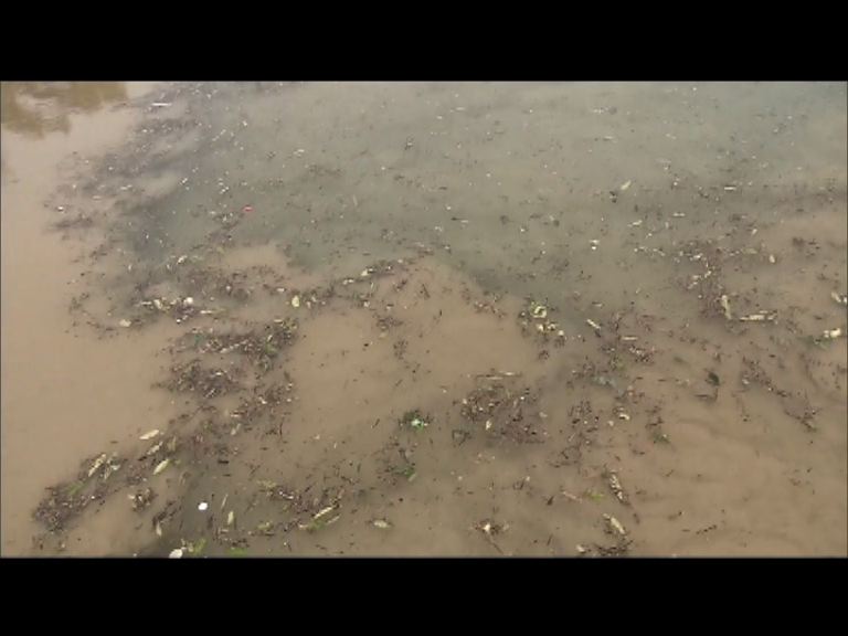 台灣濁水引發搶水潮持續