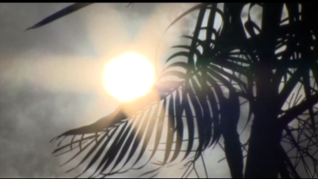 台北連續10天高溫破紀錄