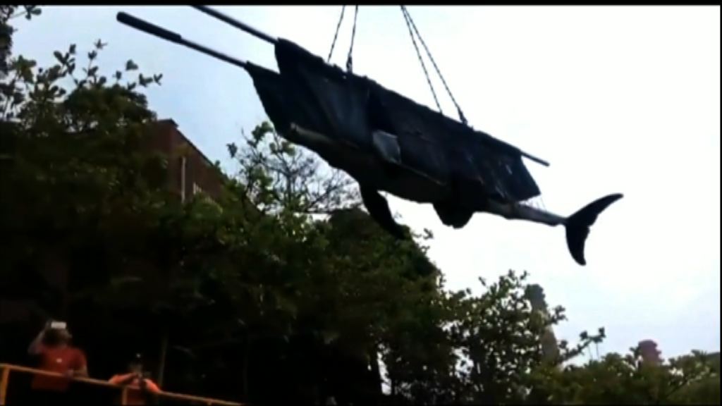 台灣虎鯨胃部塞滿膠袋疑活活餓死