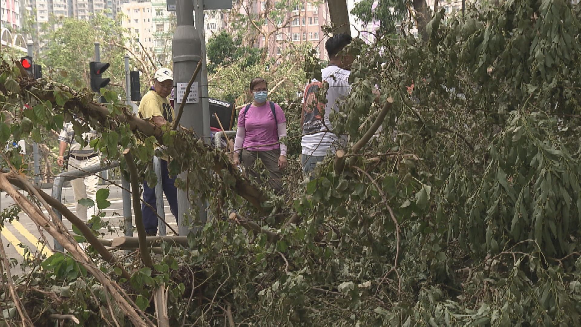 網民號召義工清理社區　加快社會復原
