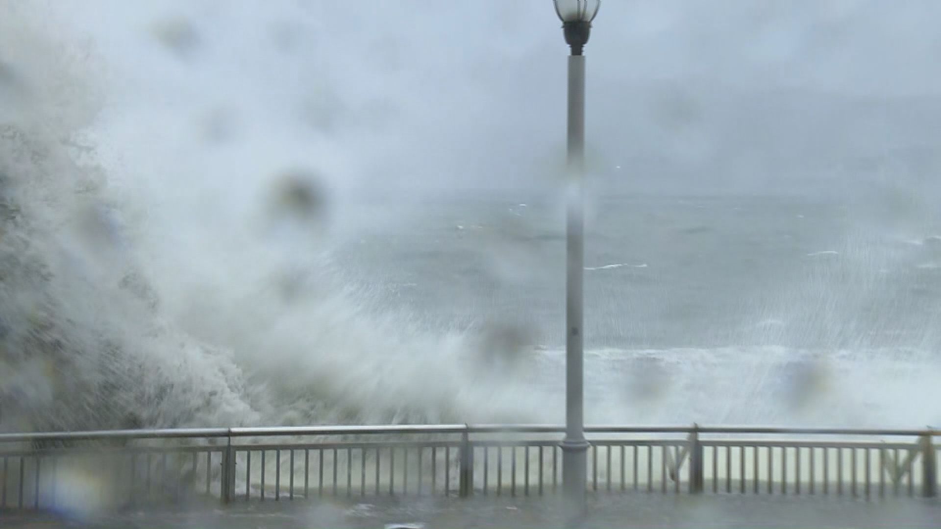 杏花邨近海內園開始水浸