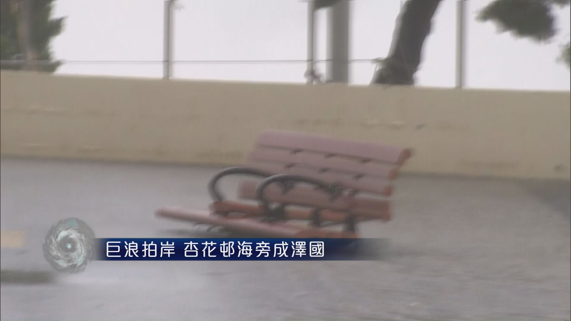 杏花邨內園被水淹浸