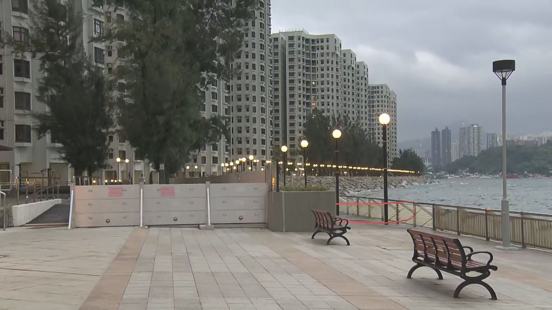 浪卡未見帶來狂風大雨　當局接到6宗塌樹報告