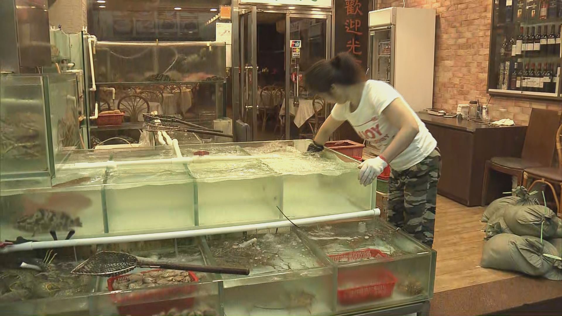 鯉魚門商戶憂防風措施作用不大