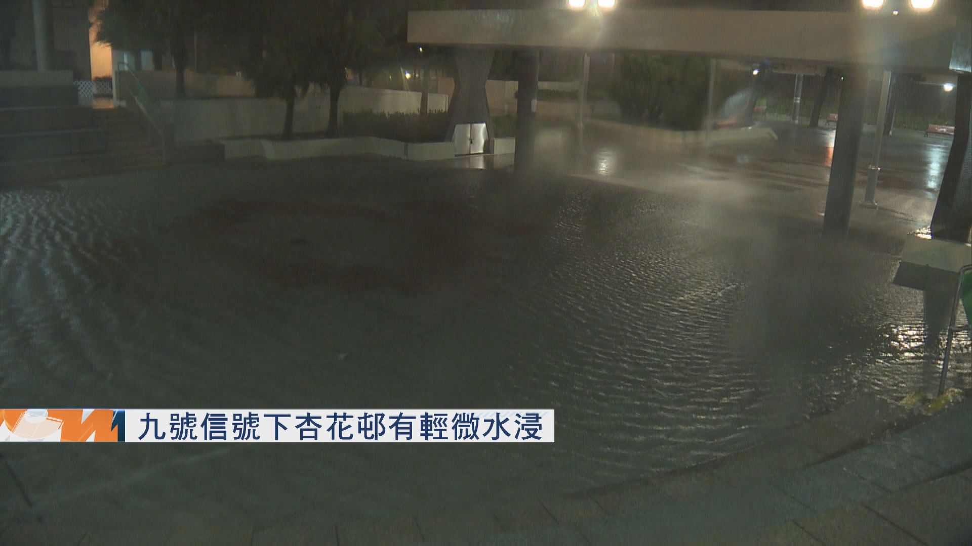 【海高斯襲港】九號信號下杏花邨有輕微水浸