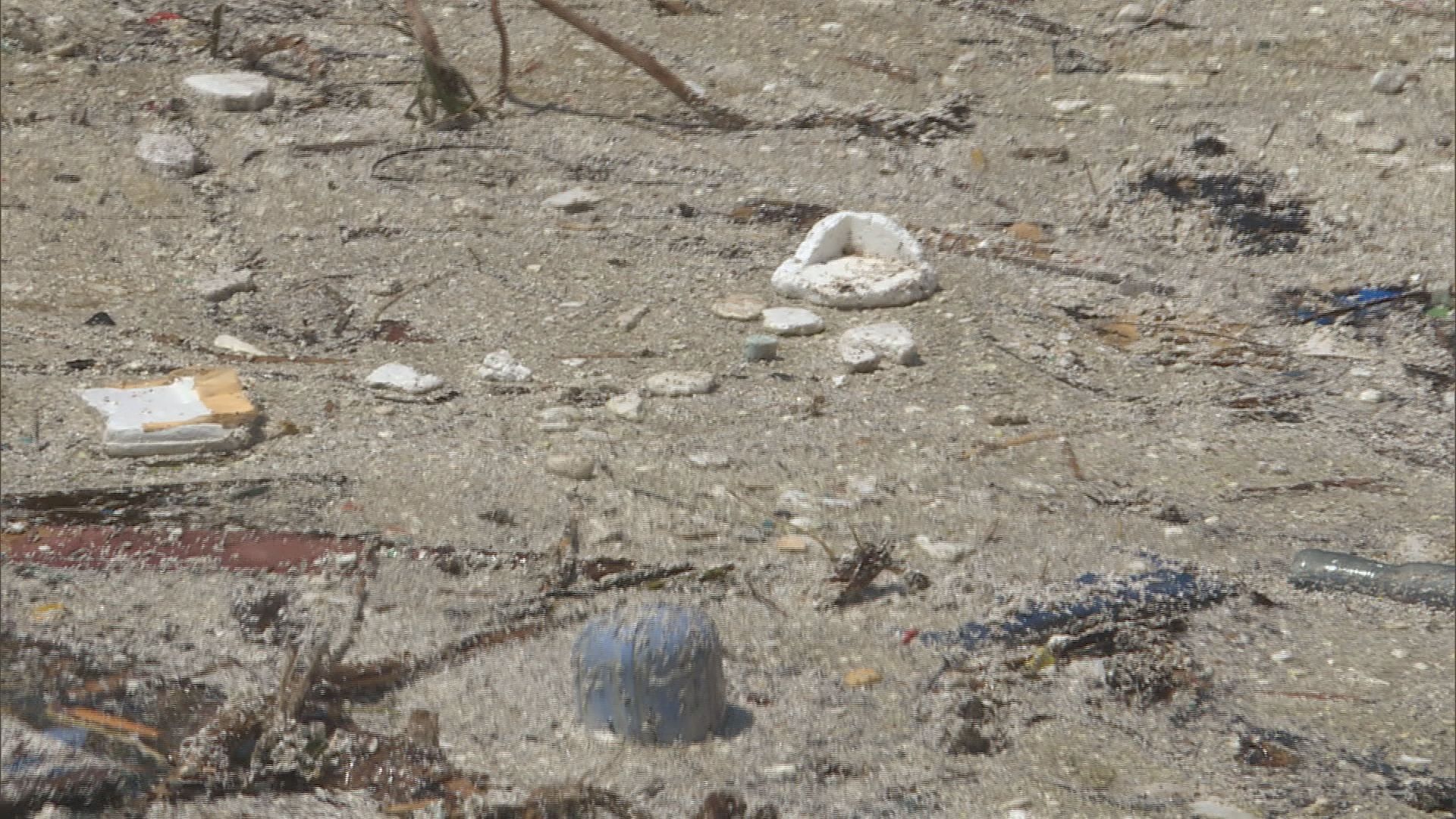 西貢漁民憂水質變差影響生計