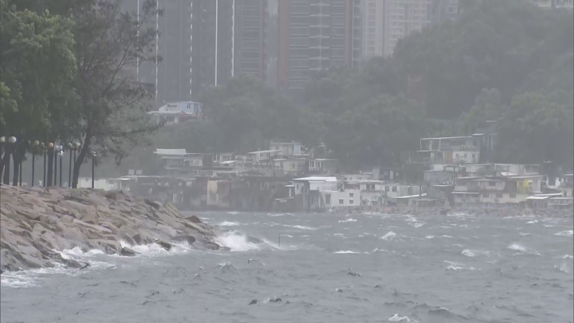 打風｜塔巴襲港帶來狂風驟雨　鯉魚門有樹木被吹塌