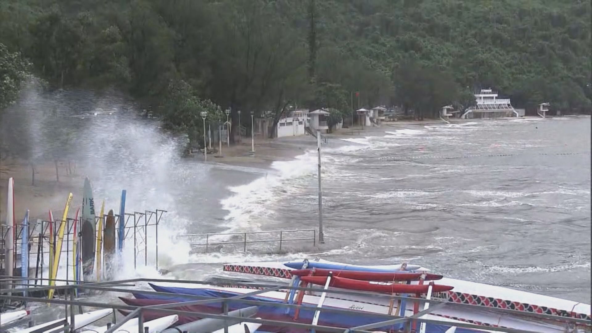打風．塔巴襲港｜八號信號期間有162宗塌樹報告　12人風暴期間受傷