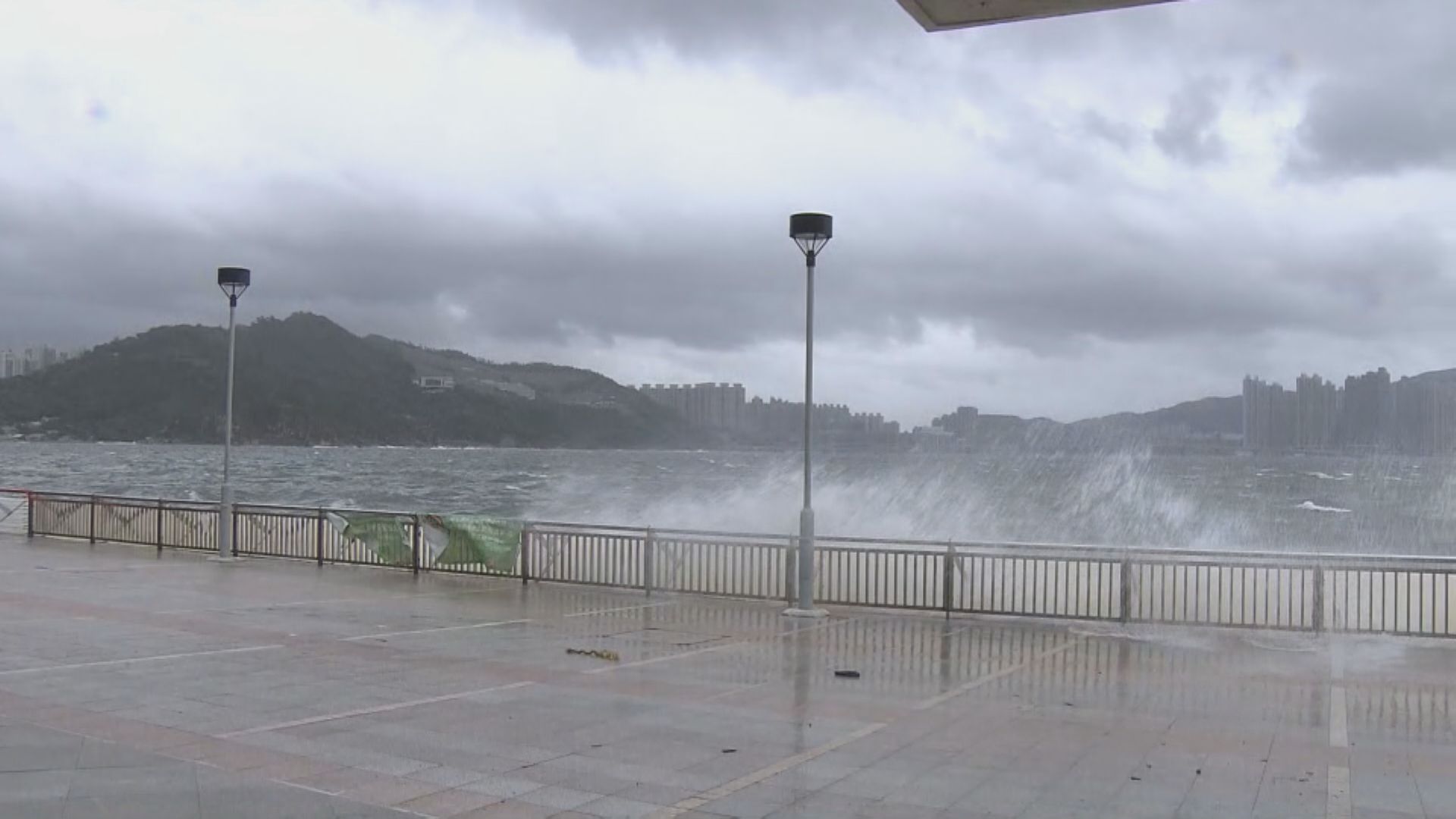 【泰利襲港】當局收三宗塌樹報告 天文台料低窪地區或會水浸