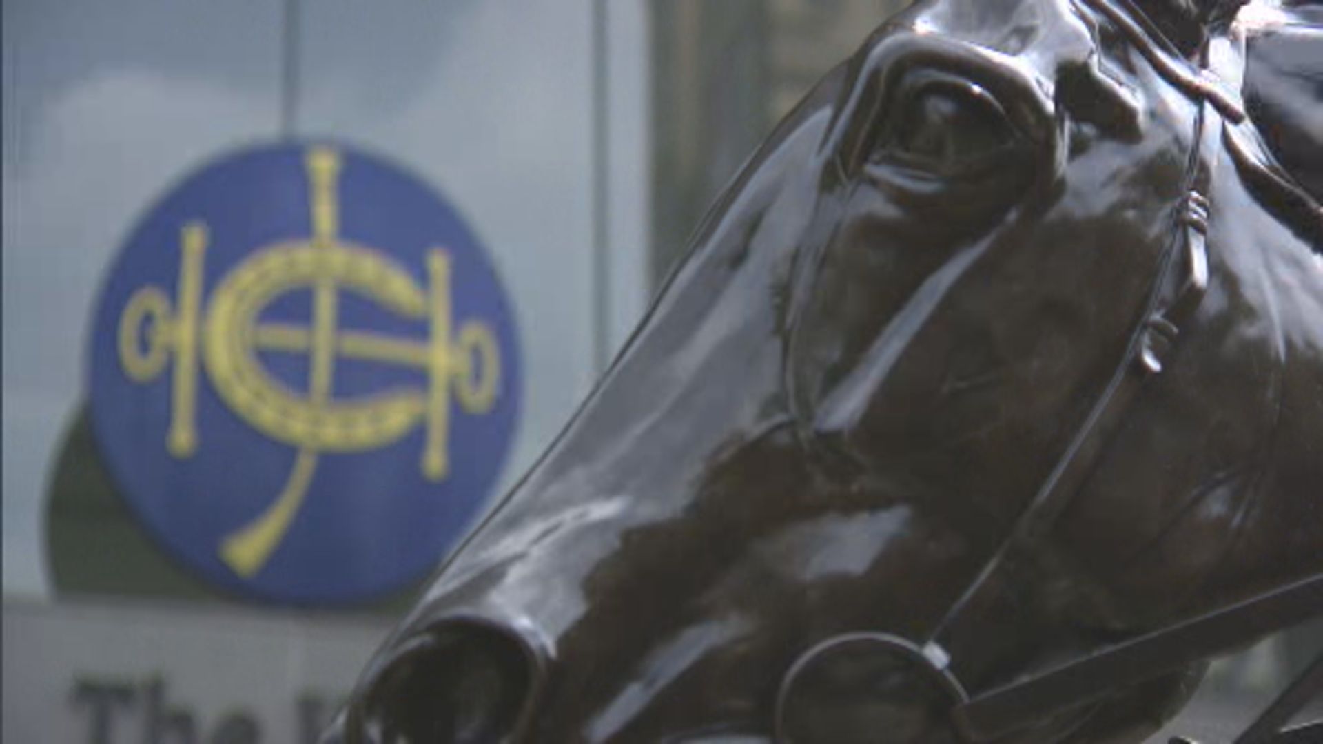 馬會：今日沙田日馬賽事取消