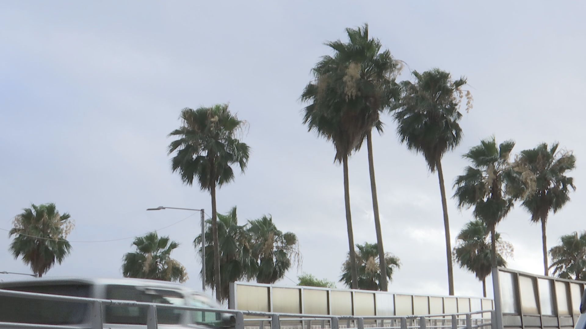 澳門三號風球生效　氣象局指下午4時至7時考慮改發一號風球