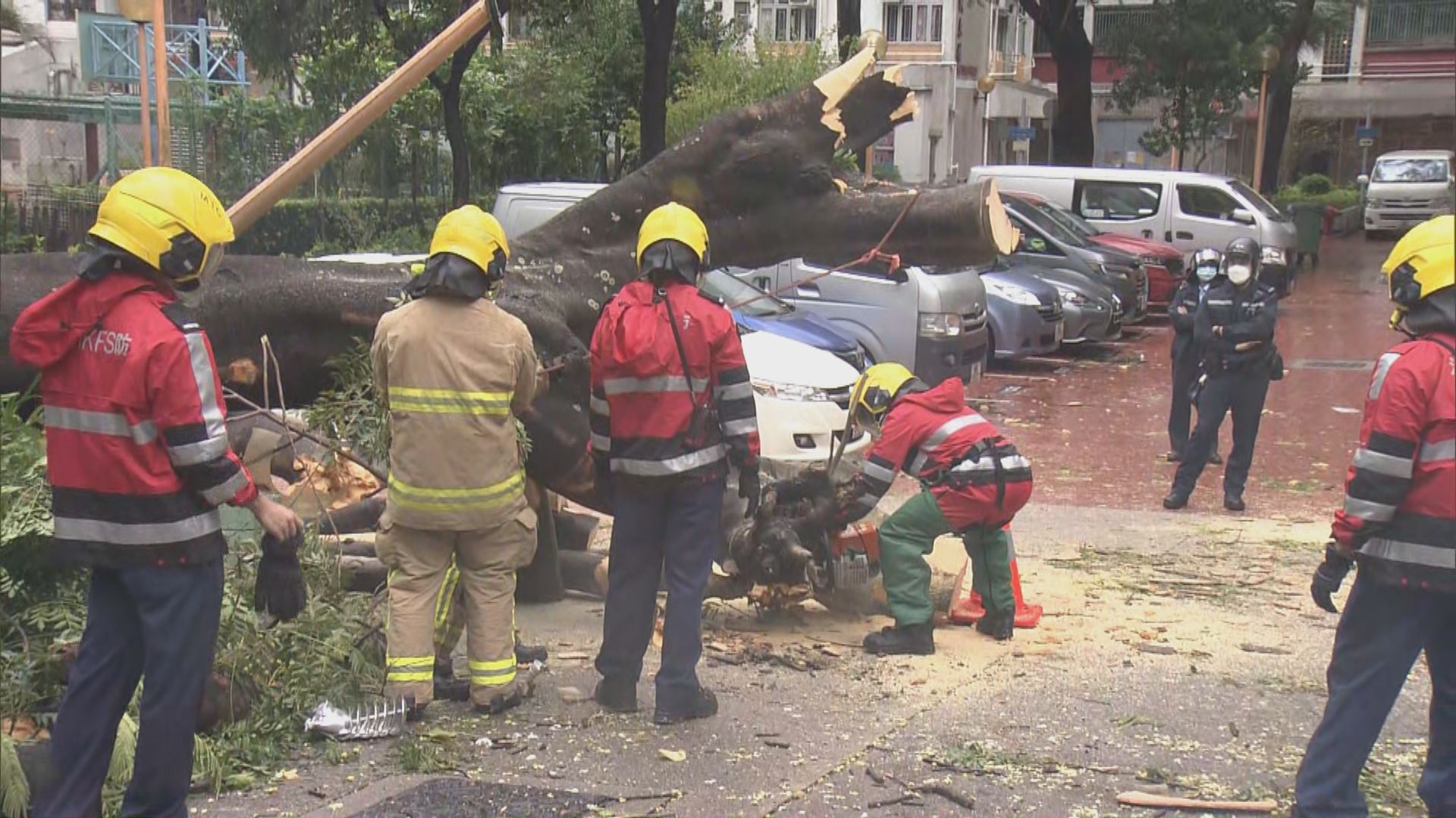 八號信號下有一死16傷　政府接58宗塌樹報告　