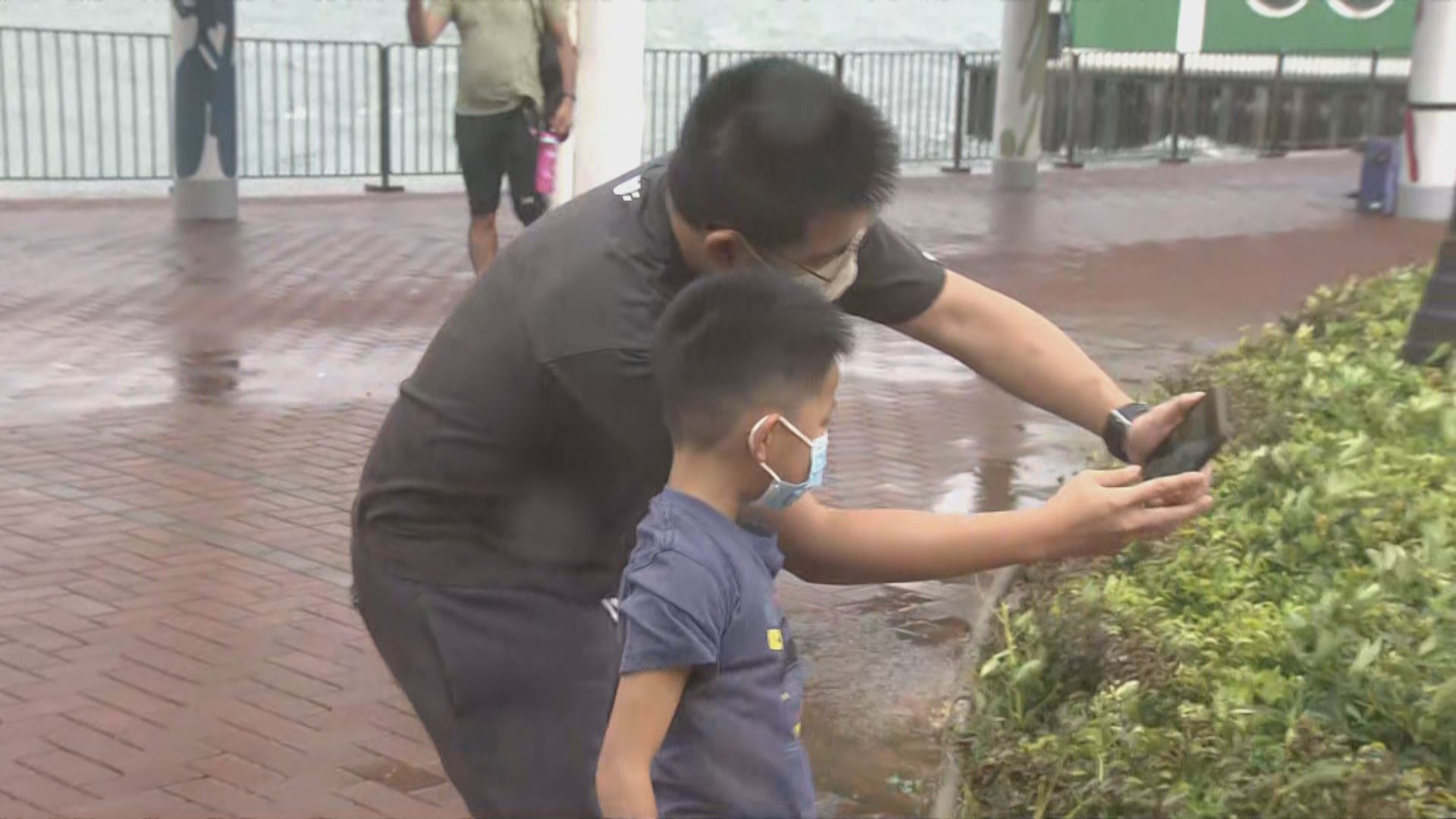 颱風暹芭襲港　有市民到海旁「追風」感受威力