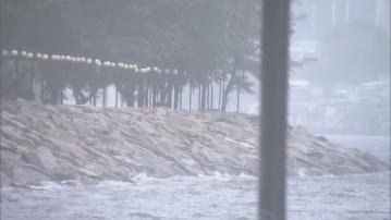 打風｜杏花邨對出海面有巨浪及湧浪　政府接13宗塌樹報告及一人受傷