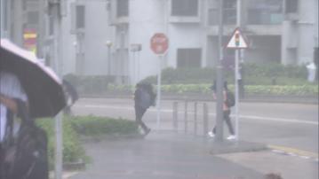 打風｜杏花邨對出海面有巨浪及湧浪　政府接15宗塌樹報告及一人受傷