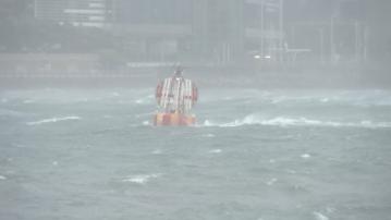 打風｜杏花邨對出海面有巨浪及湧浪　政府接85宗塌樹報告及兩人受傷