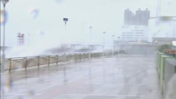 打風｜杏花邨對出海面有巨浪及湧浪　政府接240宗塌樹報告及14人受傷