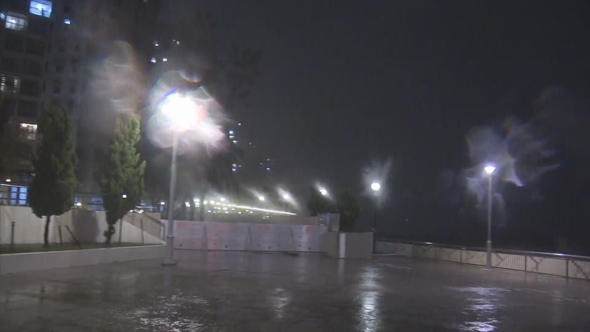 打風．塔巴襲港｜杏花邨風勢勁強　樹木不時被強風吹歪