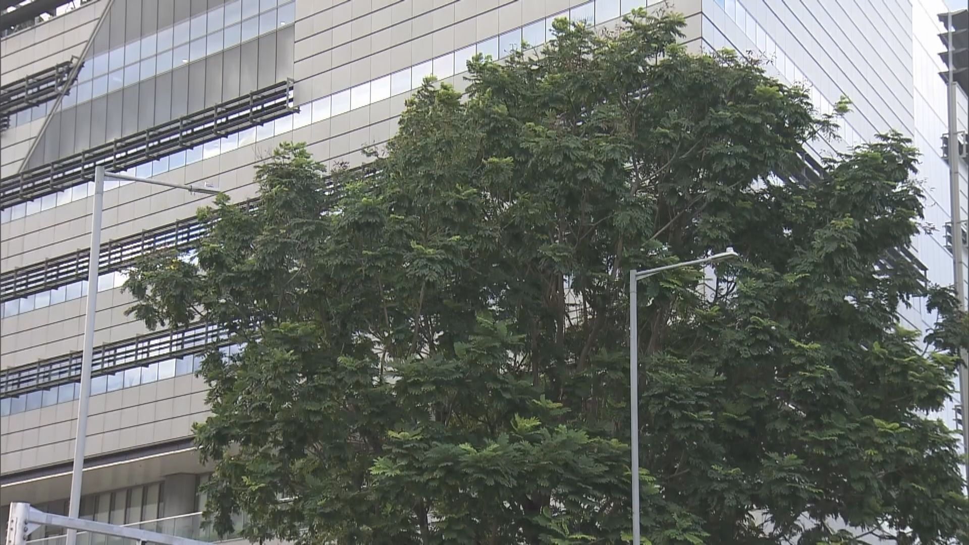 打風｜「塔巴」進一步增強　三號強風信號日間大部分時間維持