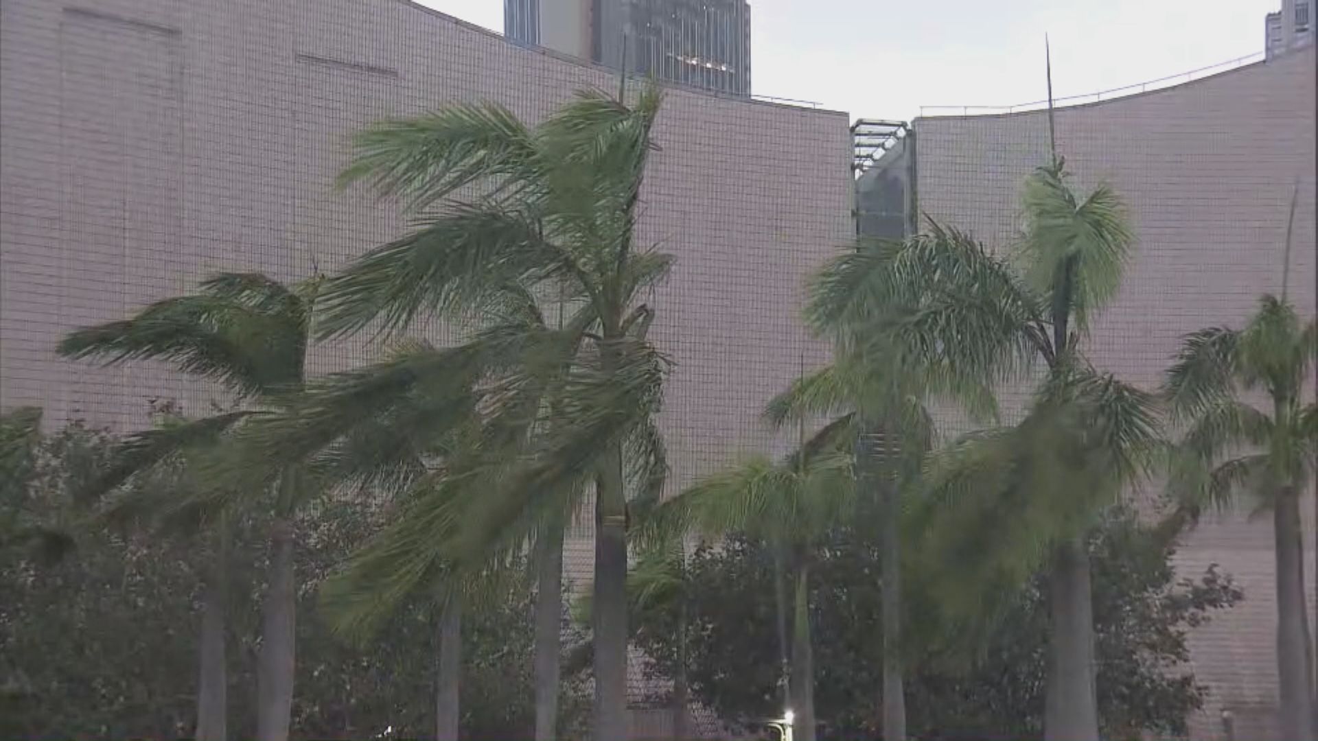 三號強風信號現正生效　至少維持至中午12時