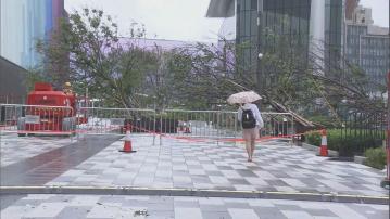 梁榮武：若韋帕北移10公里　港島多區風力加劇