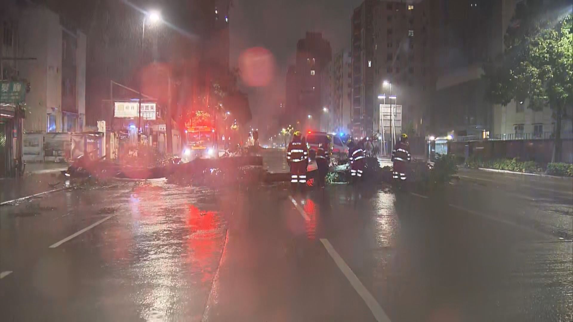 樺加沙襲港｜強風下多區塌樹　部分影響主要幹道交通