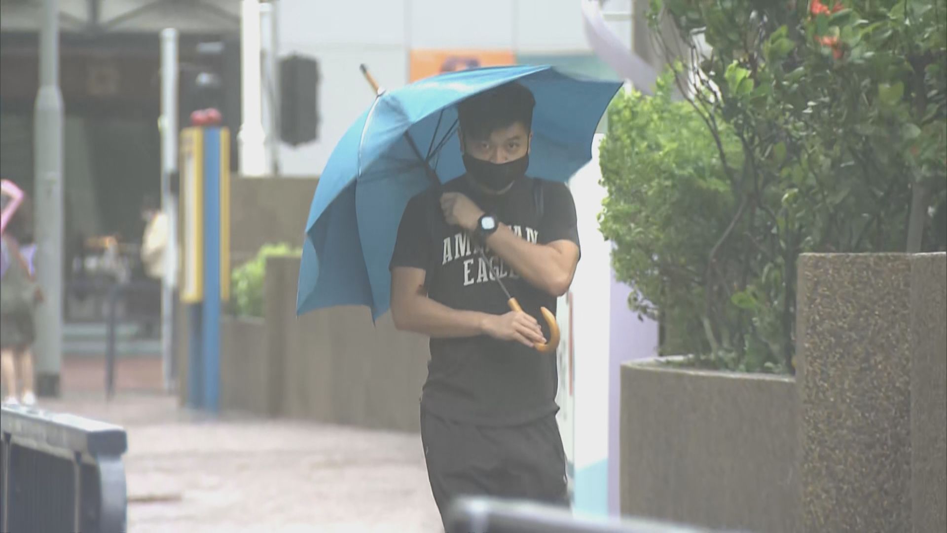 八號信號下至少67宗塌樹　五人受傷到醫院求診