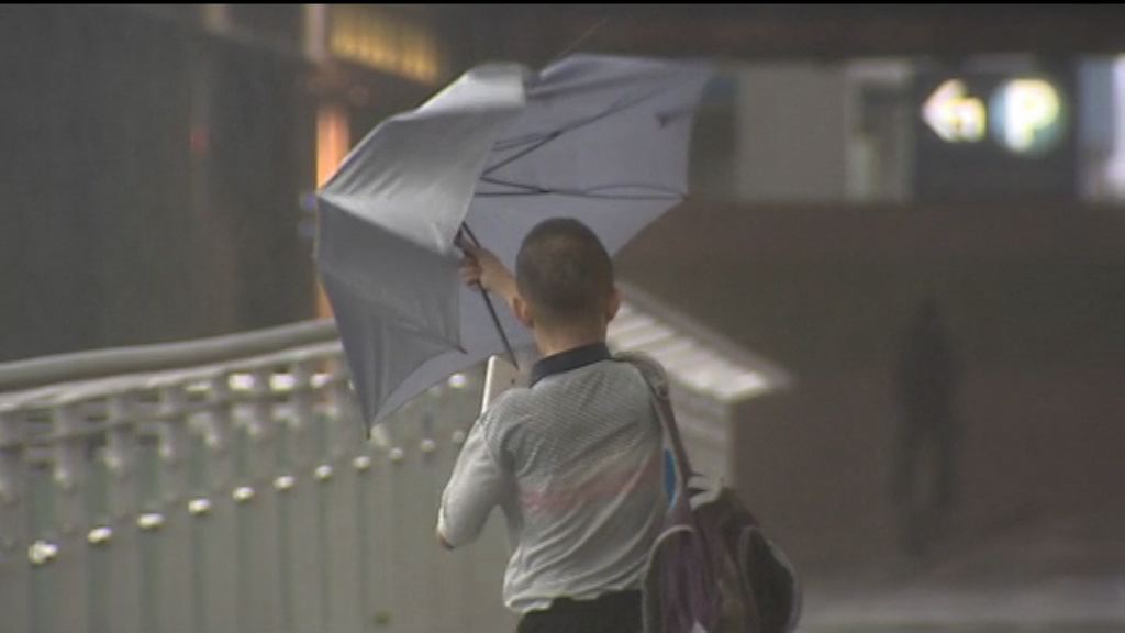 醫管局：妮妲襲港期間十二人受傷送院