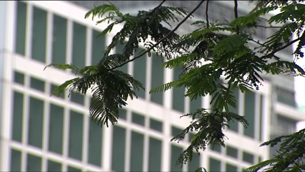 天文台發出一號戒備信號