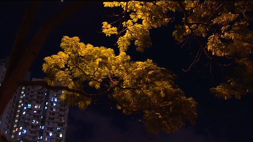 一號戒備信號生效