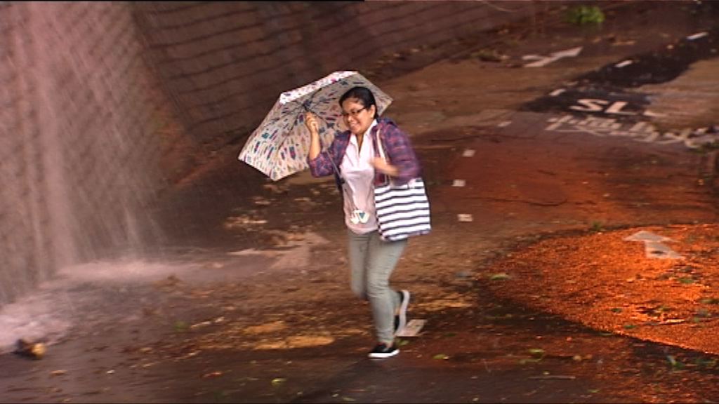 天文台一度發出紅色暴雨警告  下午校停課