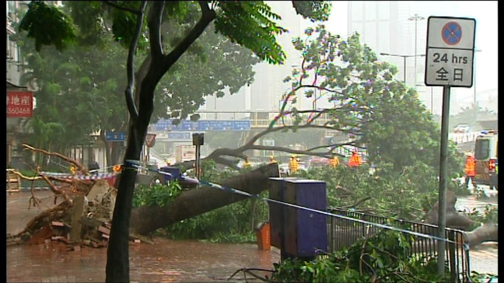 海馬在汕尾附近登陸