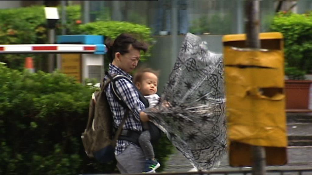 天文台稍後考慮轉發強烈季候風