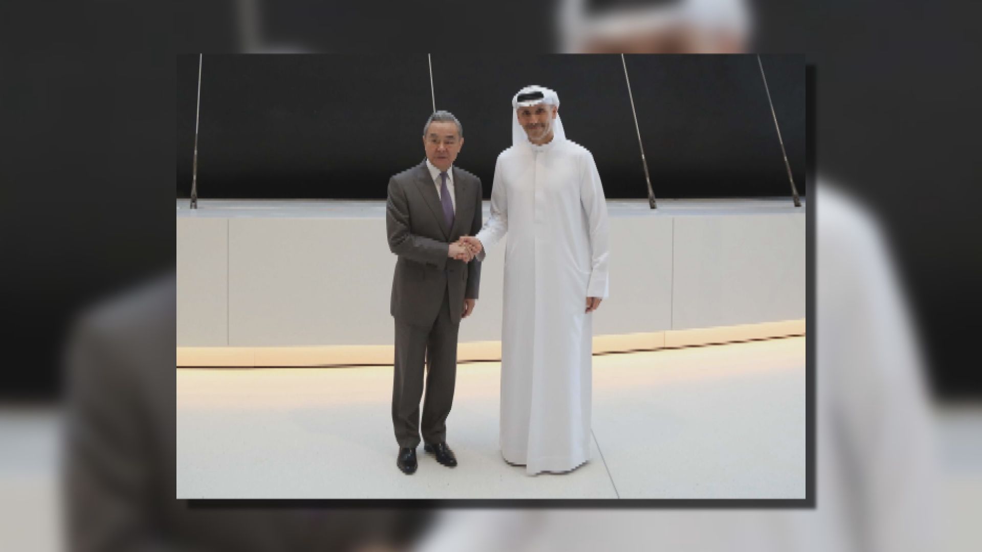 王毅會見阿聯酋總統中國事務特使哈勒敦