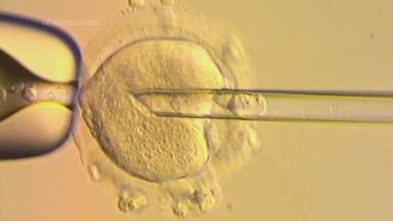 「三親嬰兒」基因改變技術證實有效　英國誕下八名健康嬰兒