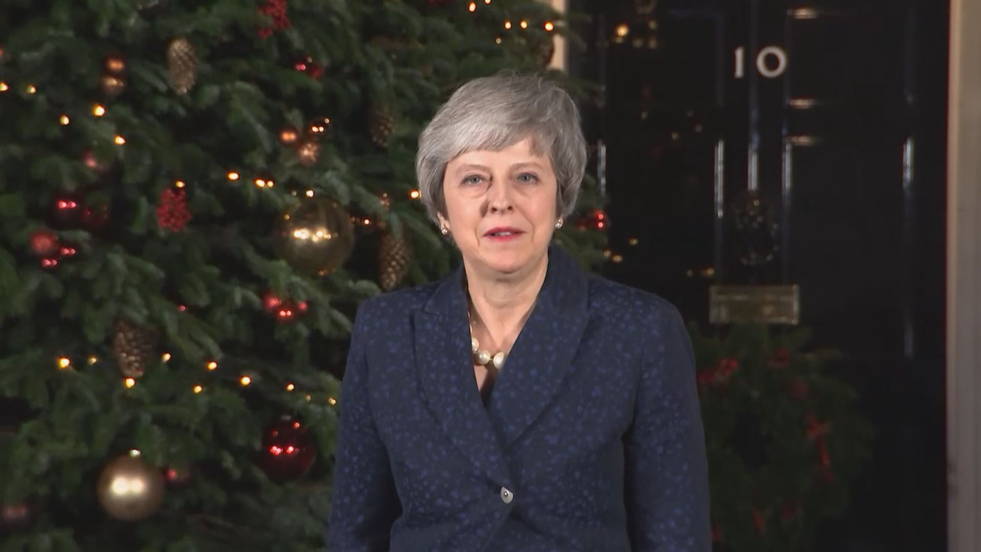 文翠珊將於國會重申反對二次公投