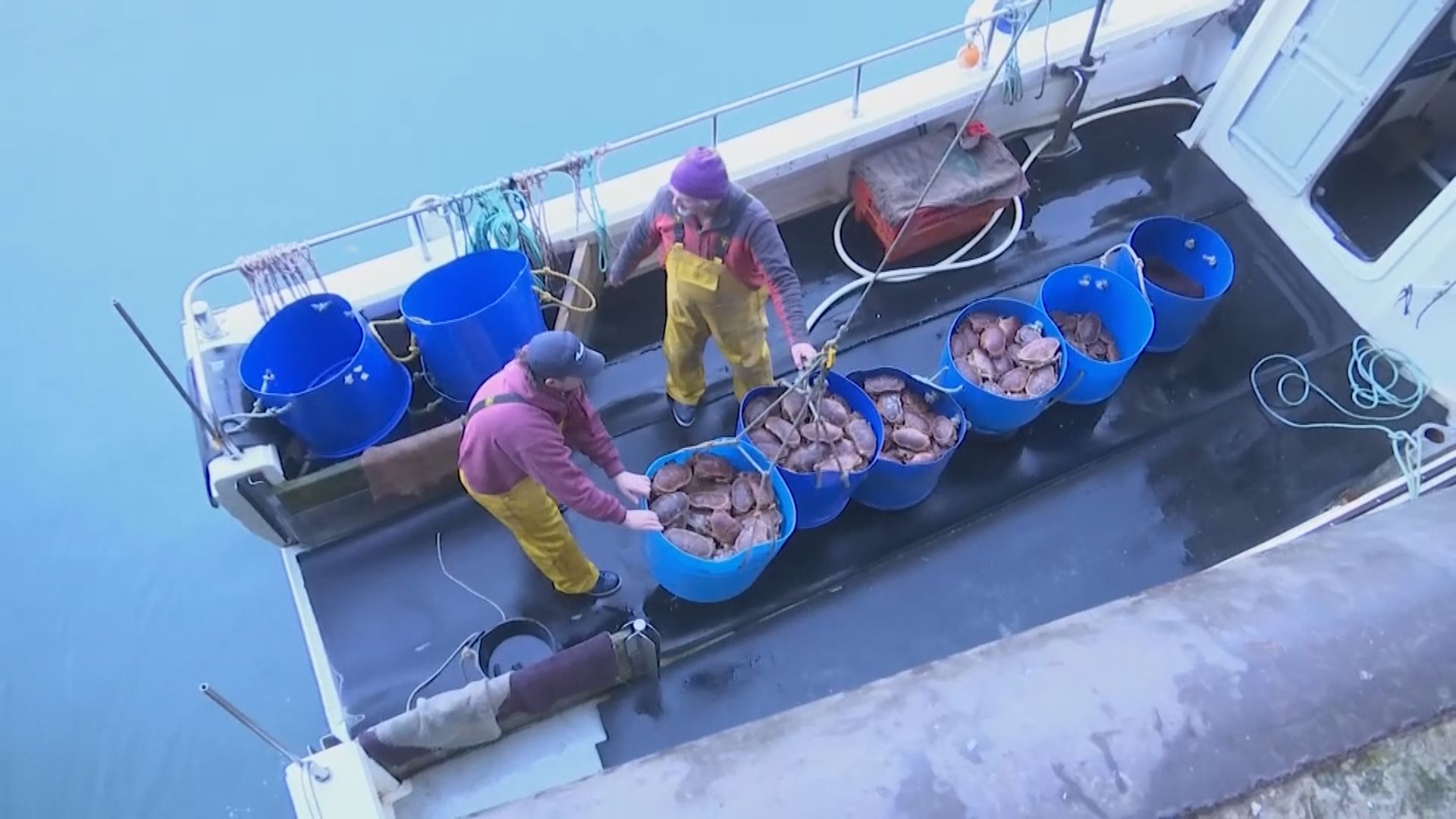 據報英方同意在捕魚權讓步　打破脫歐貿談僵局