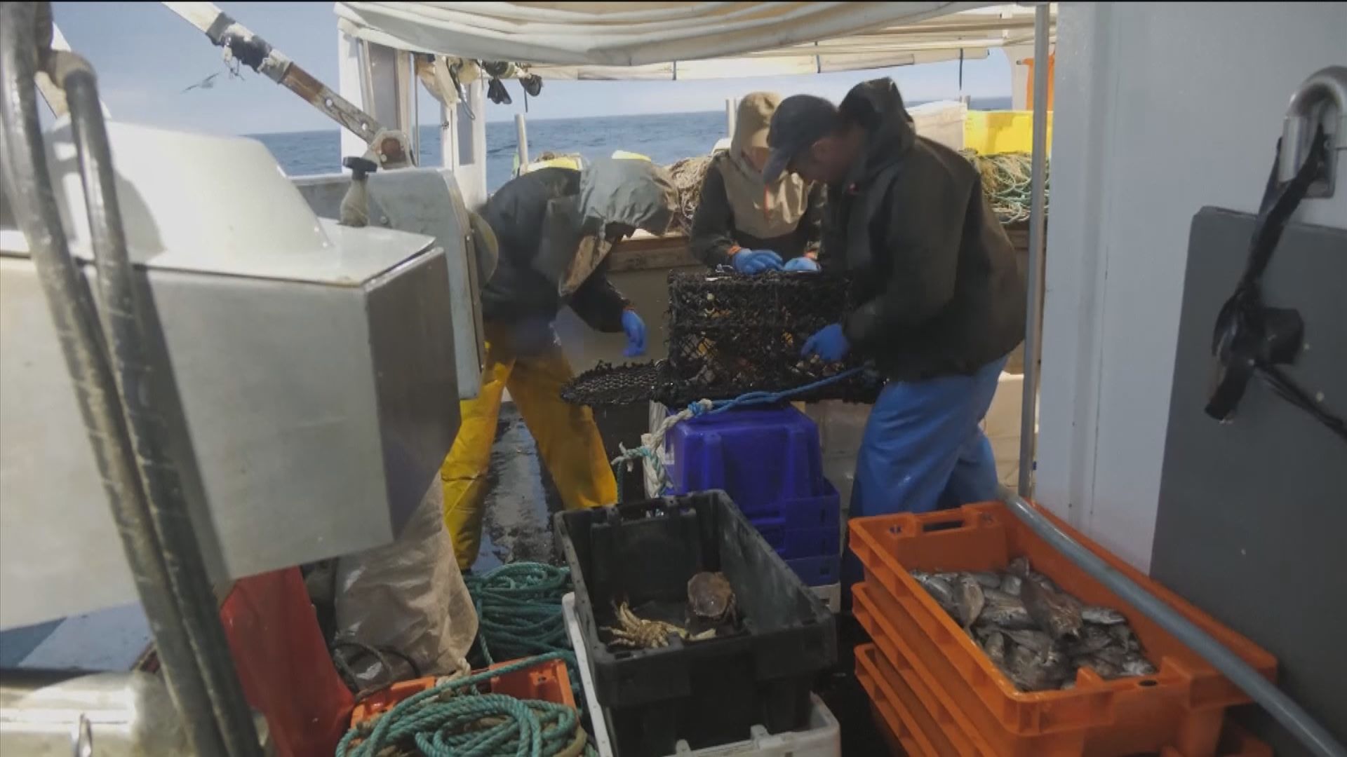 消息指英國歐盟仍要商討貿易協議捕魚配額