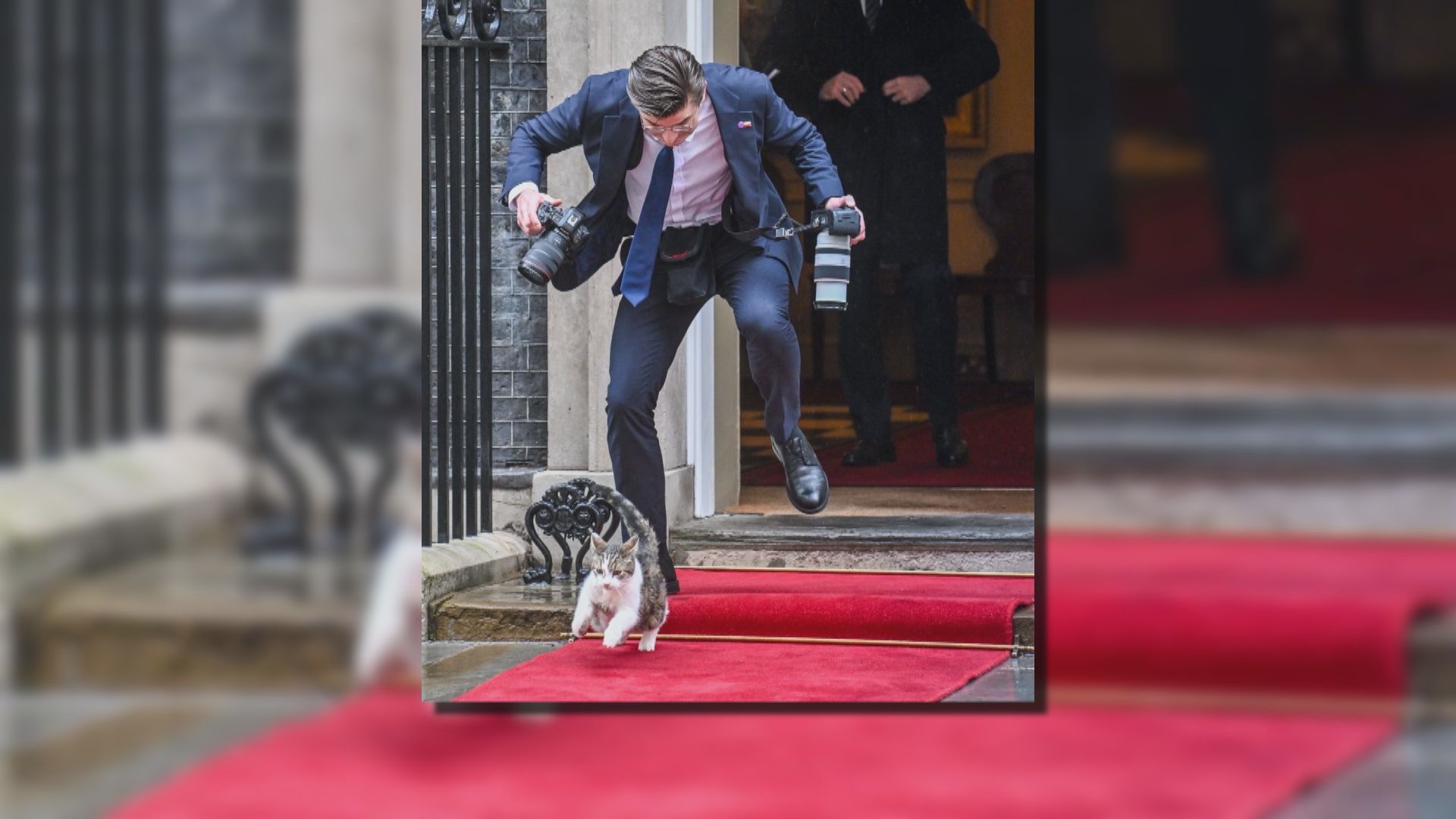 英國第一貓｜「首席捕鼠大臣」拉里差點絆倒波蘭總統隨行攝影師　意外一幕被拍下