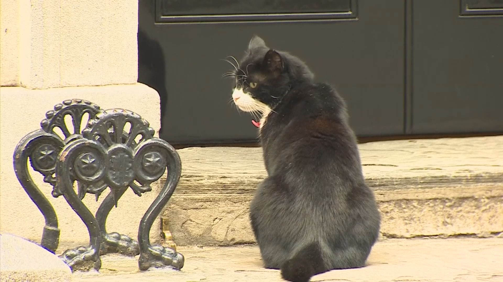 英國外交部前捕鼠大臣帕默斯頓離世　昔日對手拉里發文悼念