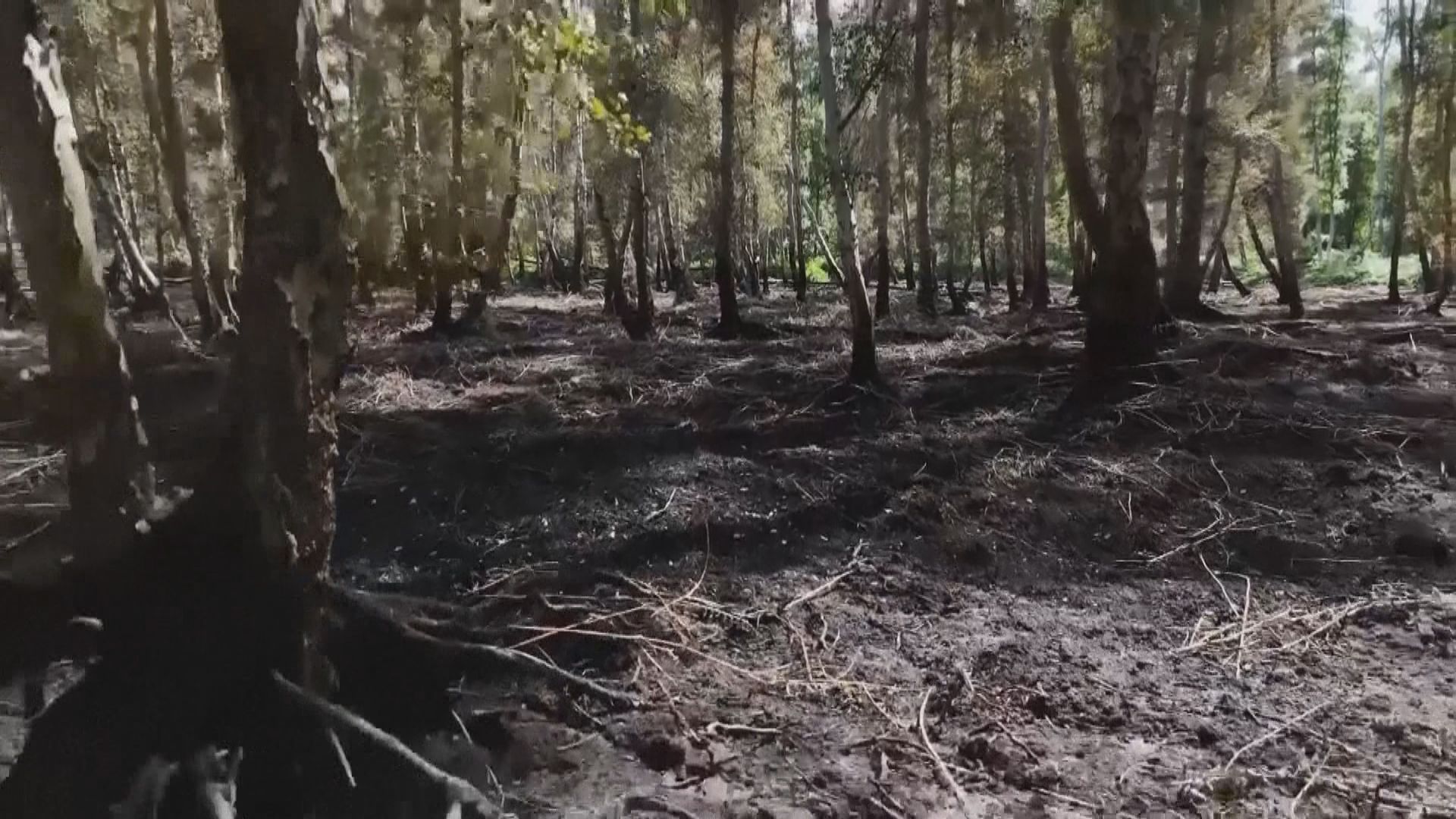 受熱浪影響　英格蘭過半地區進入乾旱狀態