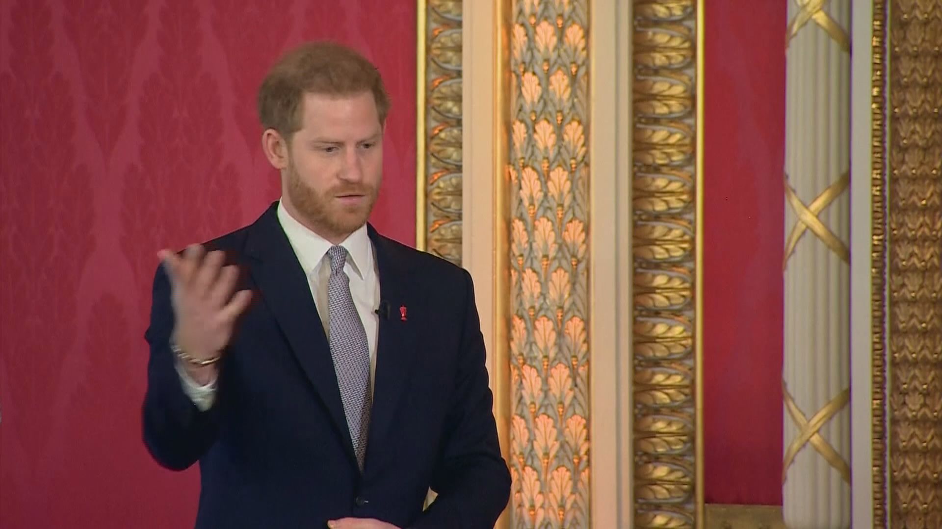 哈里王子據報已返抵英國正在家居隔離