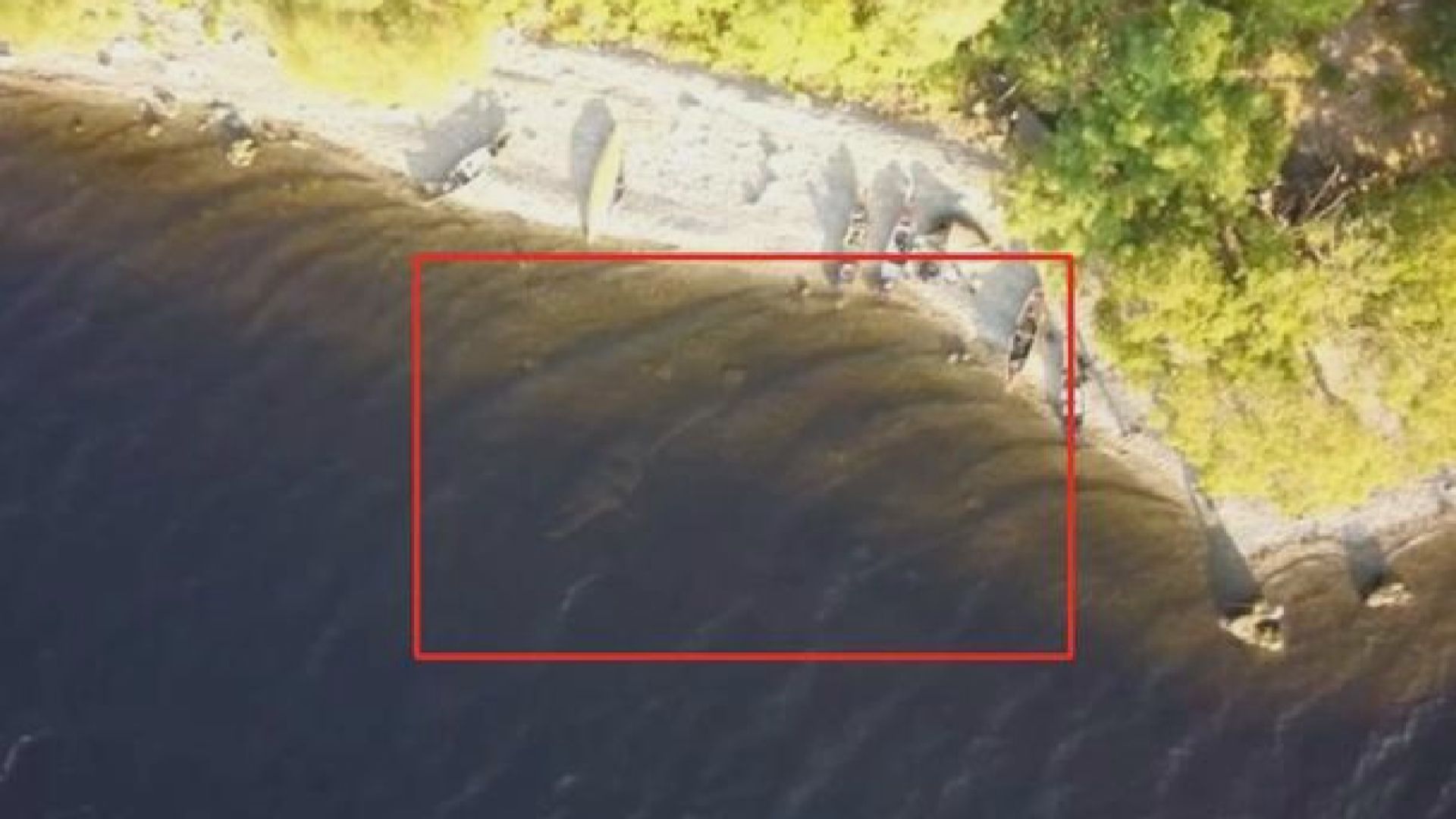 五十年來最大規模尼斯湖水怪搜索行動本周末開始