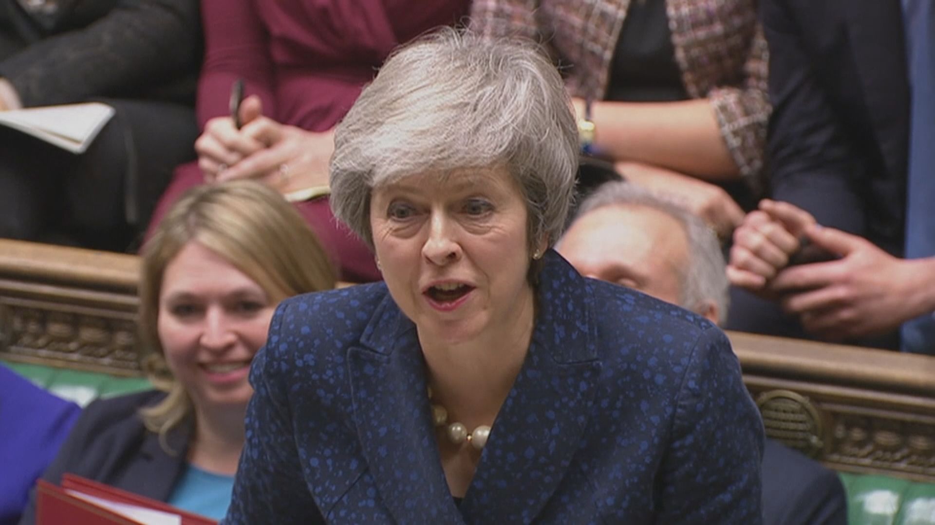 文翠珊承諾下屆大選前辭職