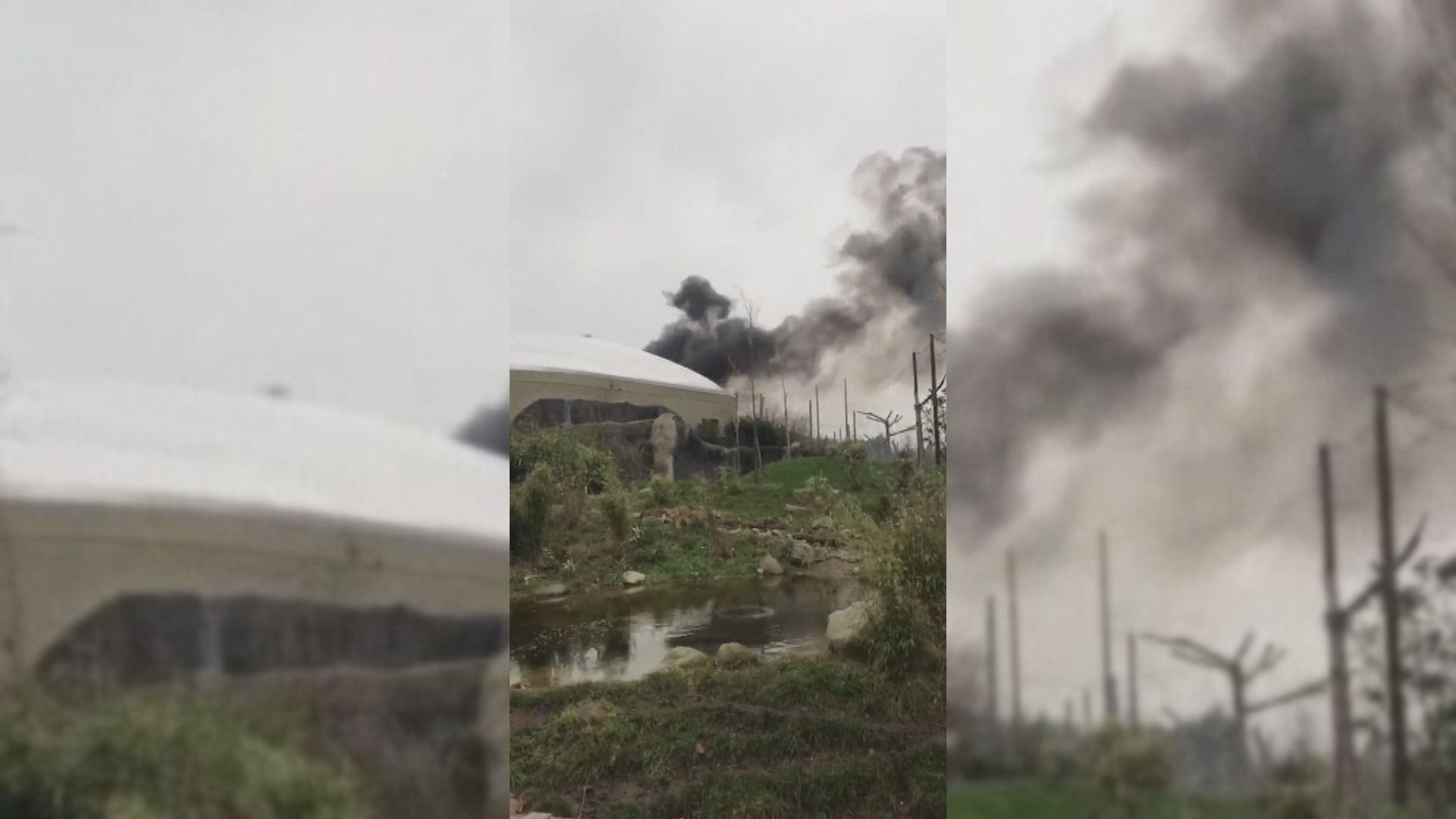 英國切期特動物園季風雨林區起火