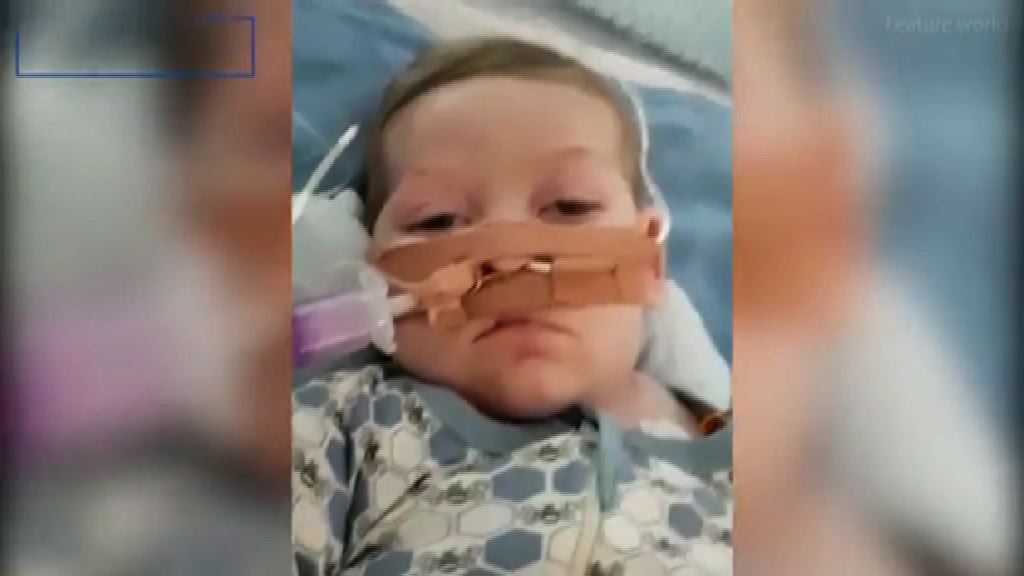 法庭裁定查利送善終院舍　短期內拔喉