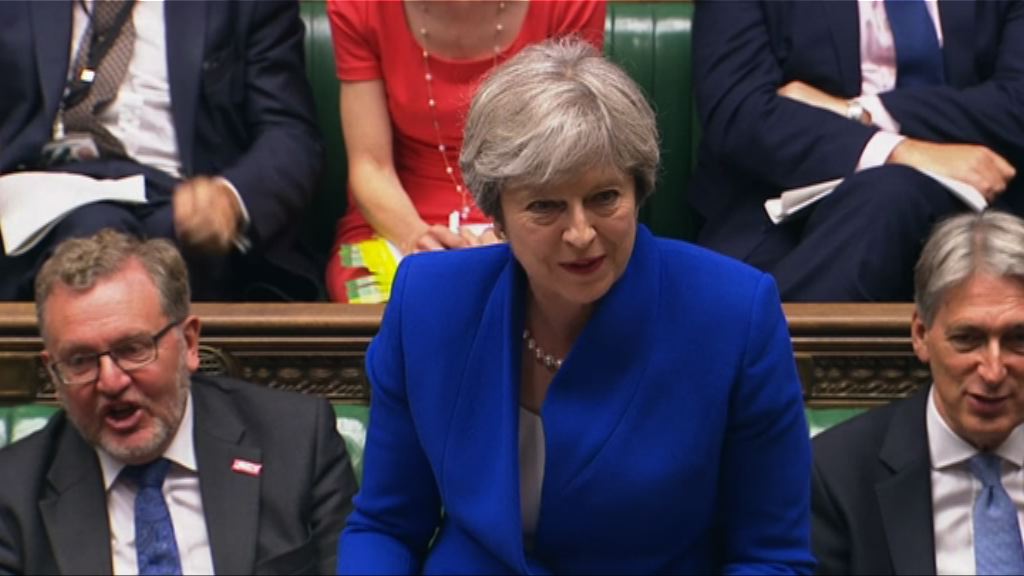 文翠珊強調脫歐需設實施期